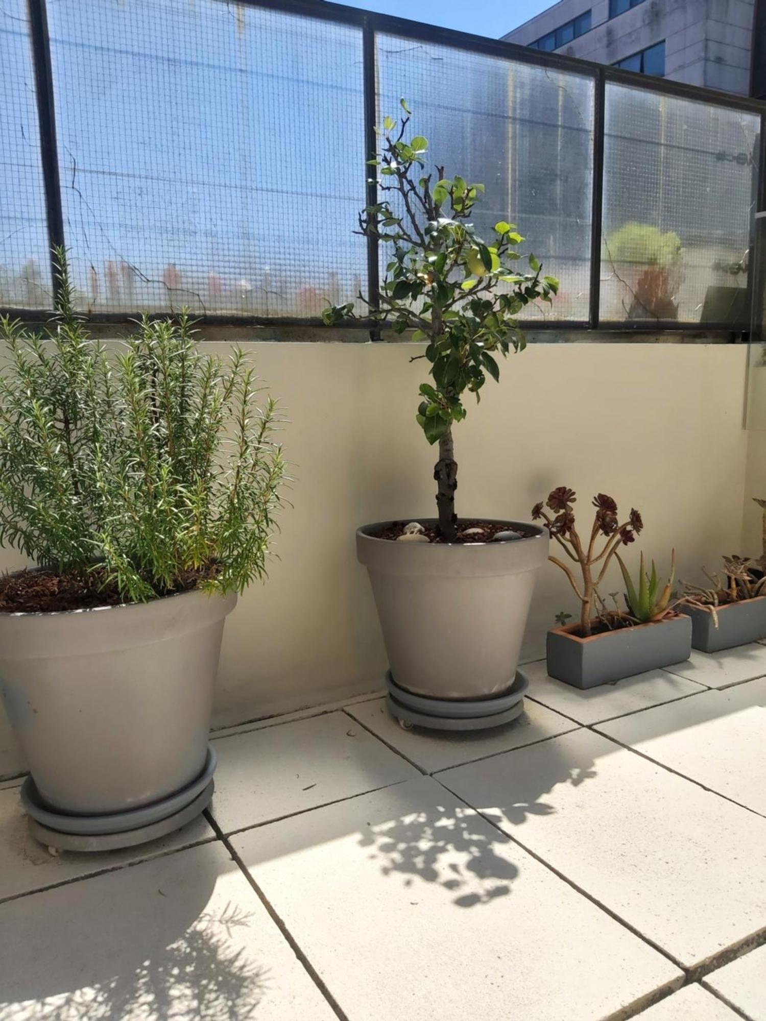 Porto Terrace Apartment Ngoại thất bức ảnh