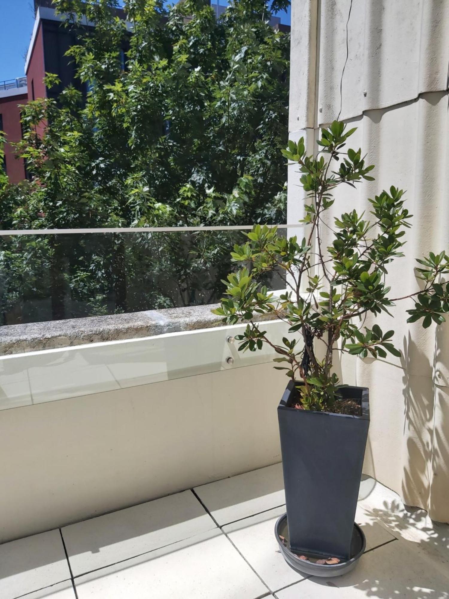 Porto Terrace Apartment Ngoại thất bức ảnh